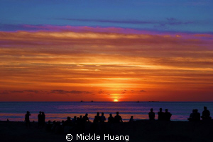 PEACE
May peace in your mind and a happy and healthy new... by Mickle Huang 
